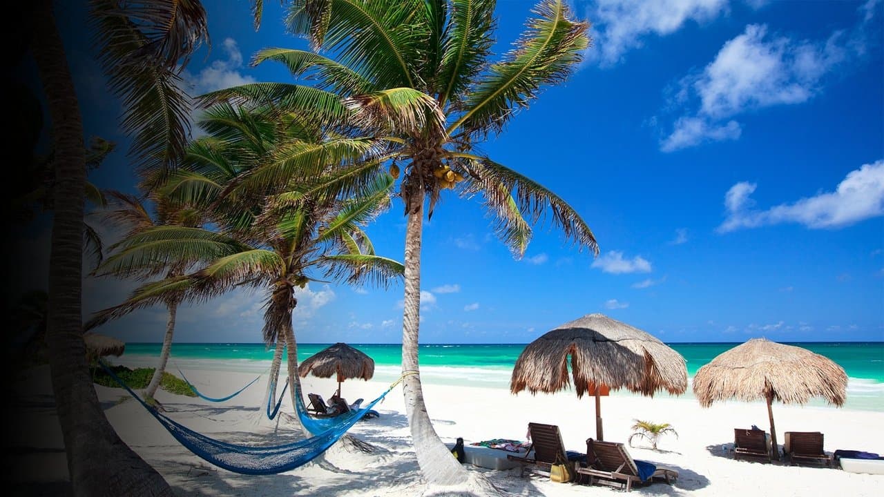 Tattoo Cover : On Holiday