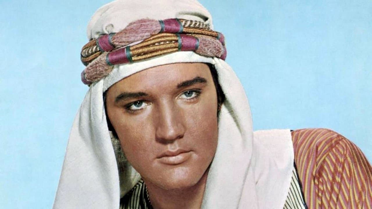 C'est la fête au harem