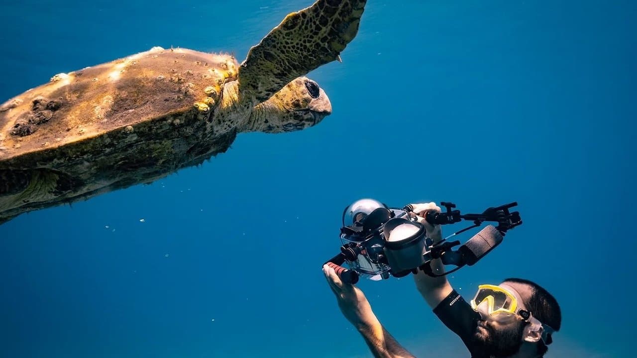 Méditerranée: L'odyssée pour la vie