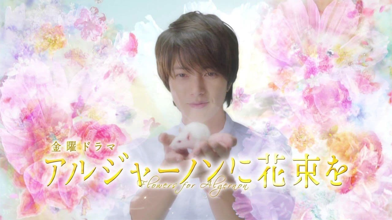 Algernon ni Hanataba wo