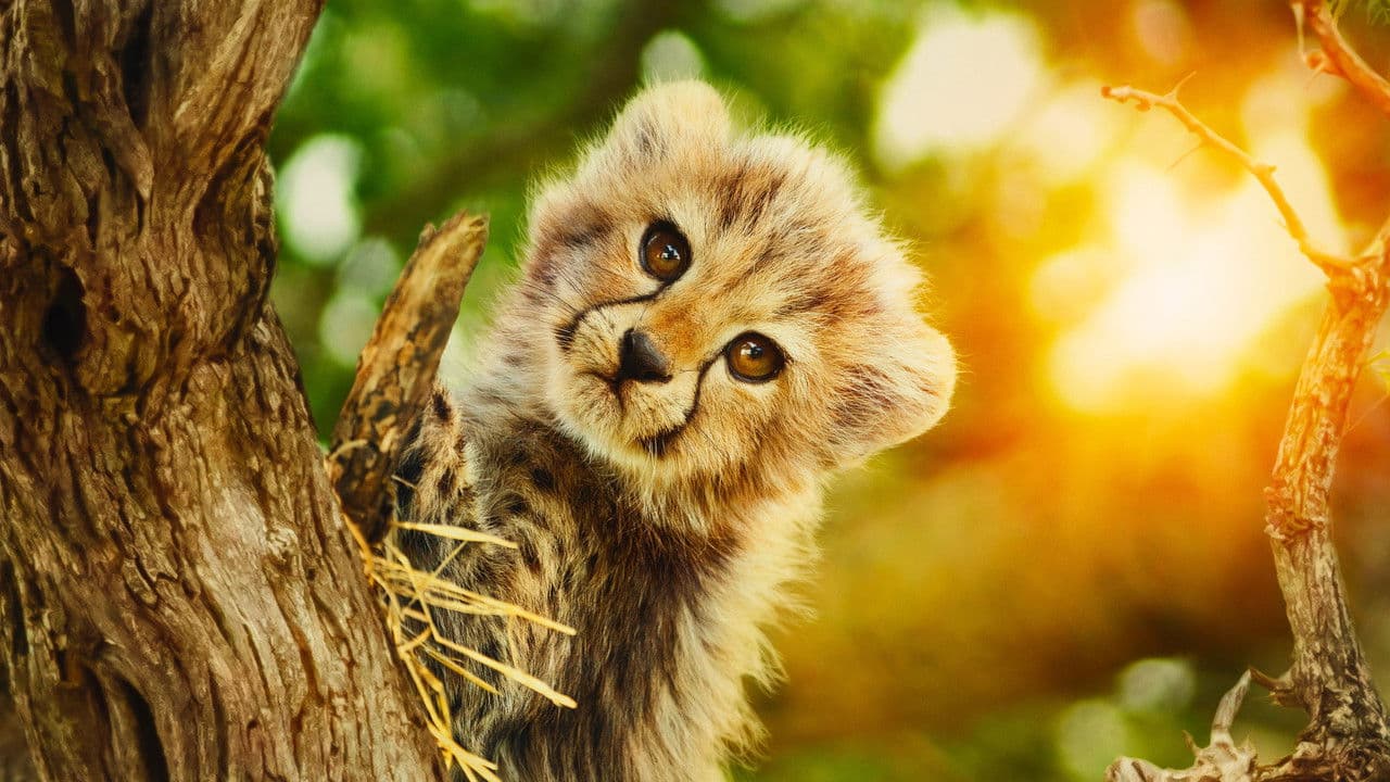 Naturellement sauvages