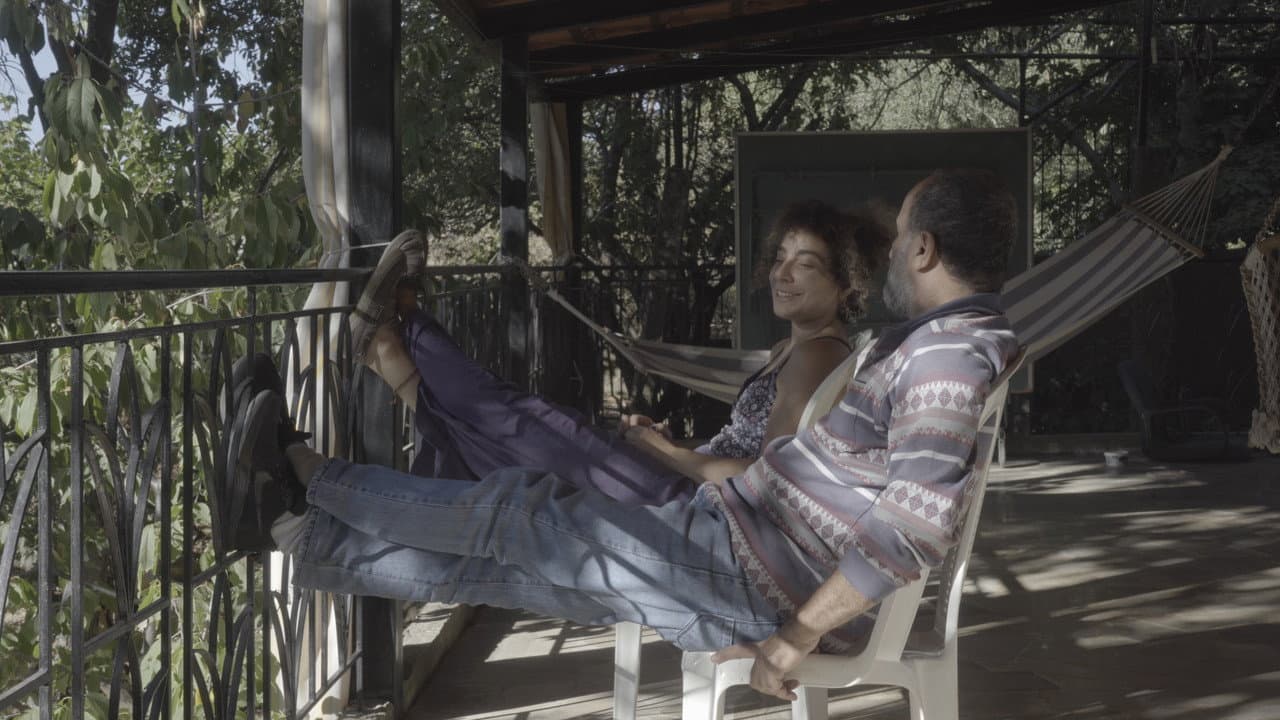 The cats, the sea, and everything in between.