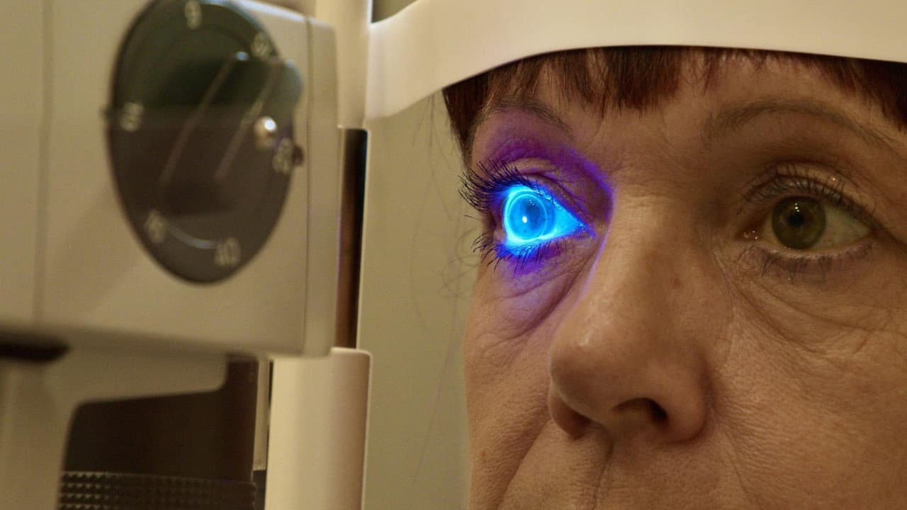 L’œil et la vision - Focus sur les avancées scientifiques