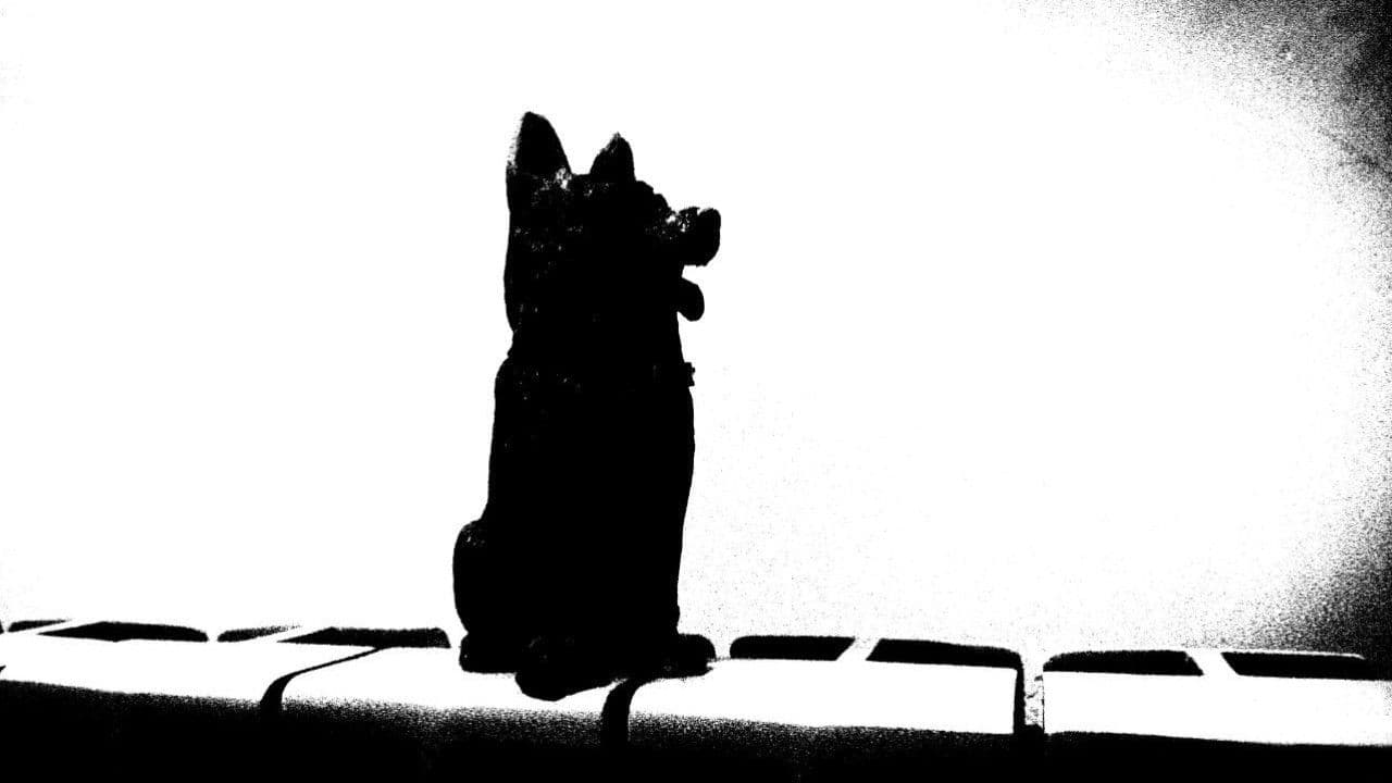 سگ کوچه سرندی