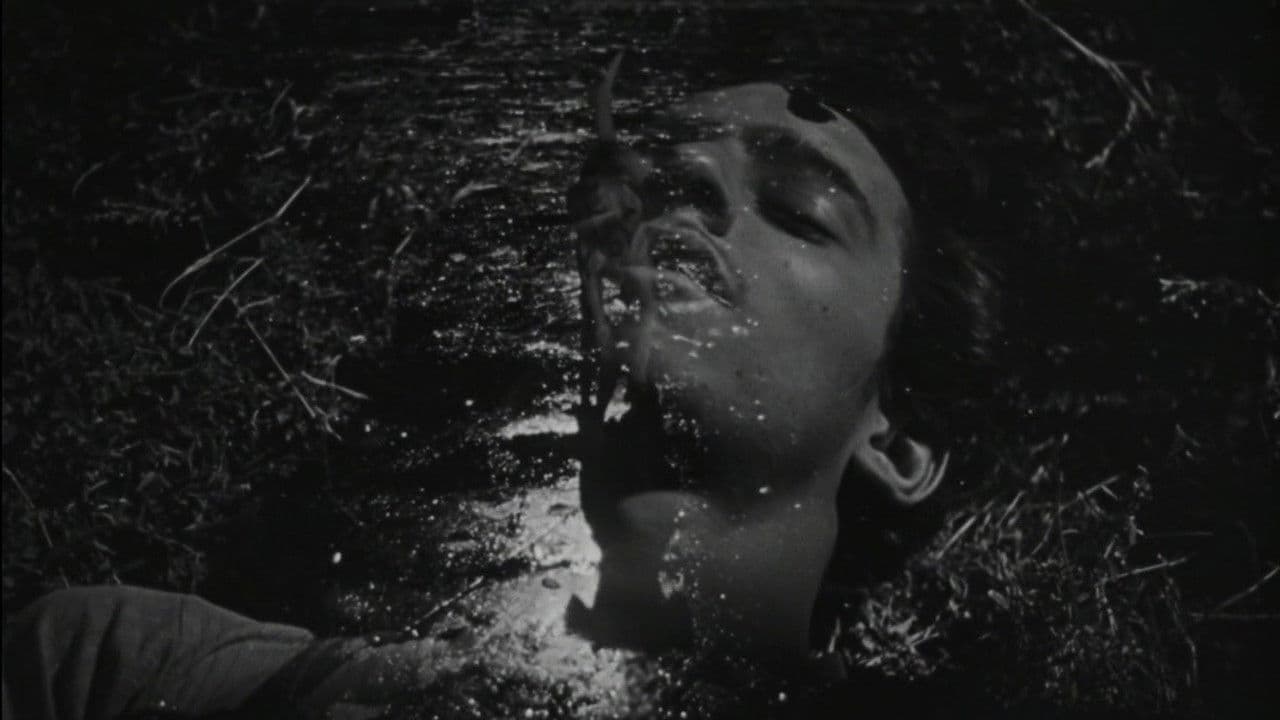 Los olvidados : pitié pour eux