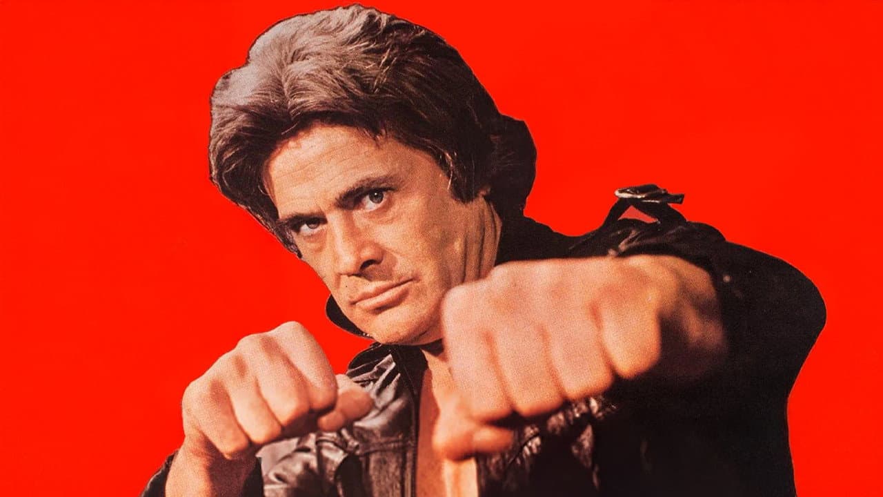 Le plus grand coup de poing