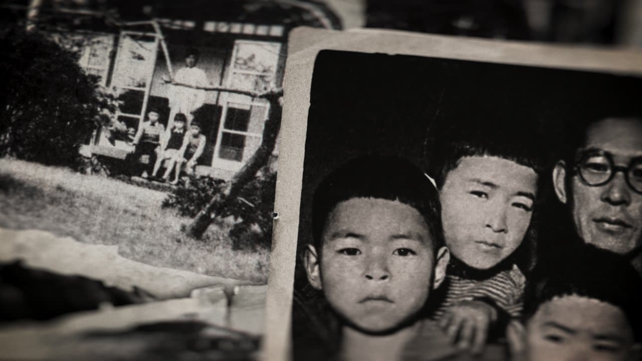 Miyazaki, l'esprit de la nature