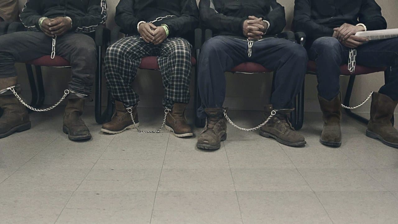 Les États-Unis, terre d'immigration