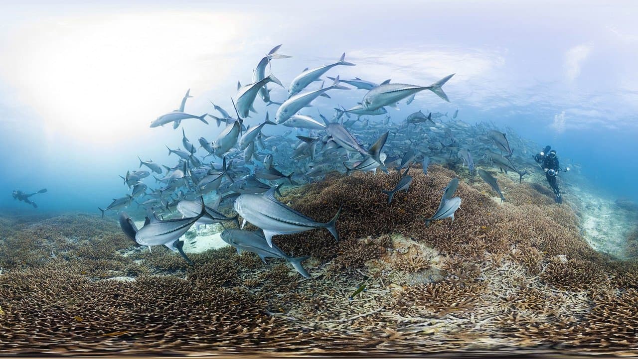 Climat en péril : La preuve par l'image