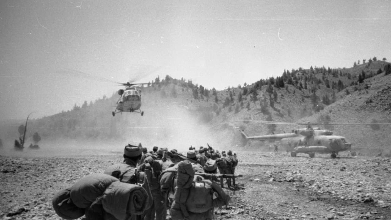 Афганский сонник