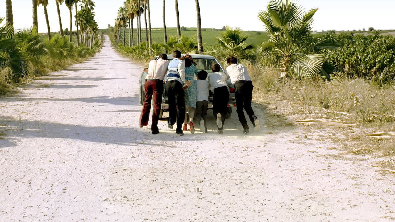 Mes plus belles années