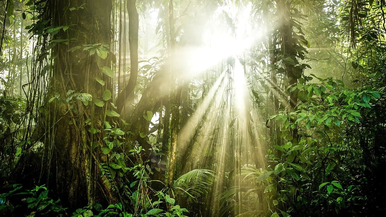 Les superpouvoirs des plantes