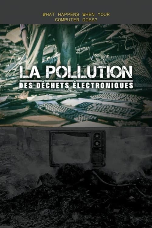 La Pollution des déchets électroniques