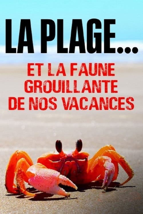 La plage... Et la faune grouillante de nos vacances