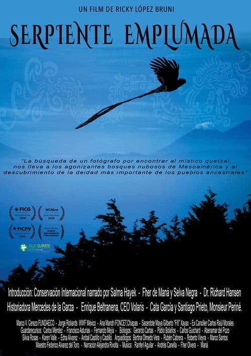 Guatemala - Sauver le quetzal, l'oiseau sacré des Mayas