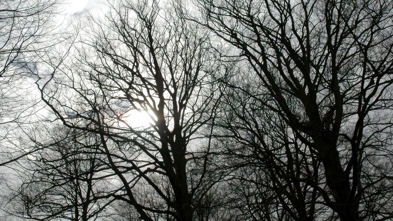 Histoires de l'autre monde