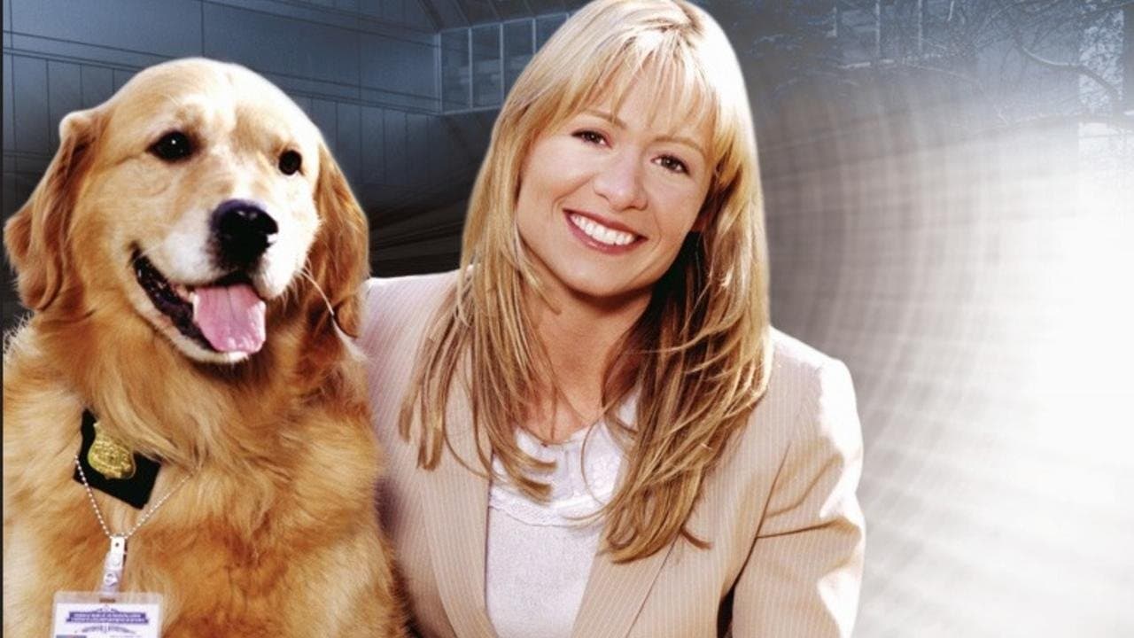 Sue Thomas, l'œil du FBI