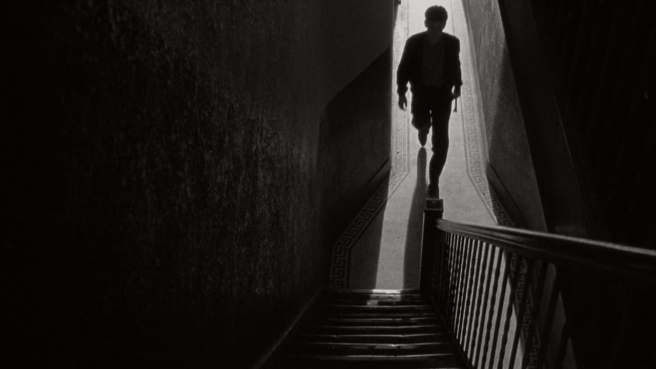 Les Anges de la nuit